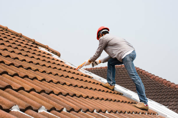 Best Skylight Installation and Repair  in West Yellowstone, MT